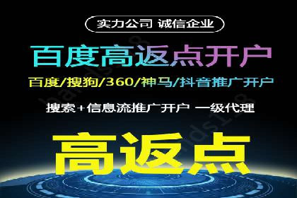 百度推广实战攻略：案例与技巧