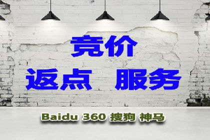 SEM服务优势案例分享